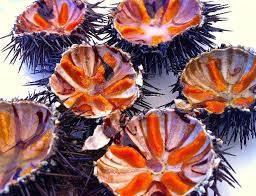 The_festival_of_sea_urchins_in_Buggeru