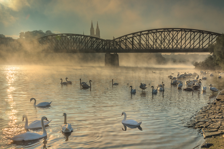 Praha The Vlatva River and Vysehard  ©Prague City Tourism