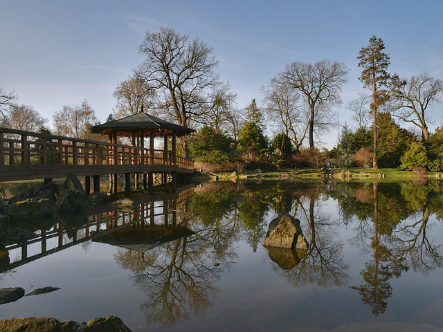 The_japanese_garden