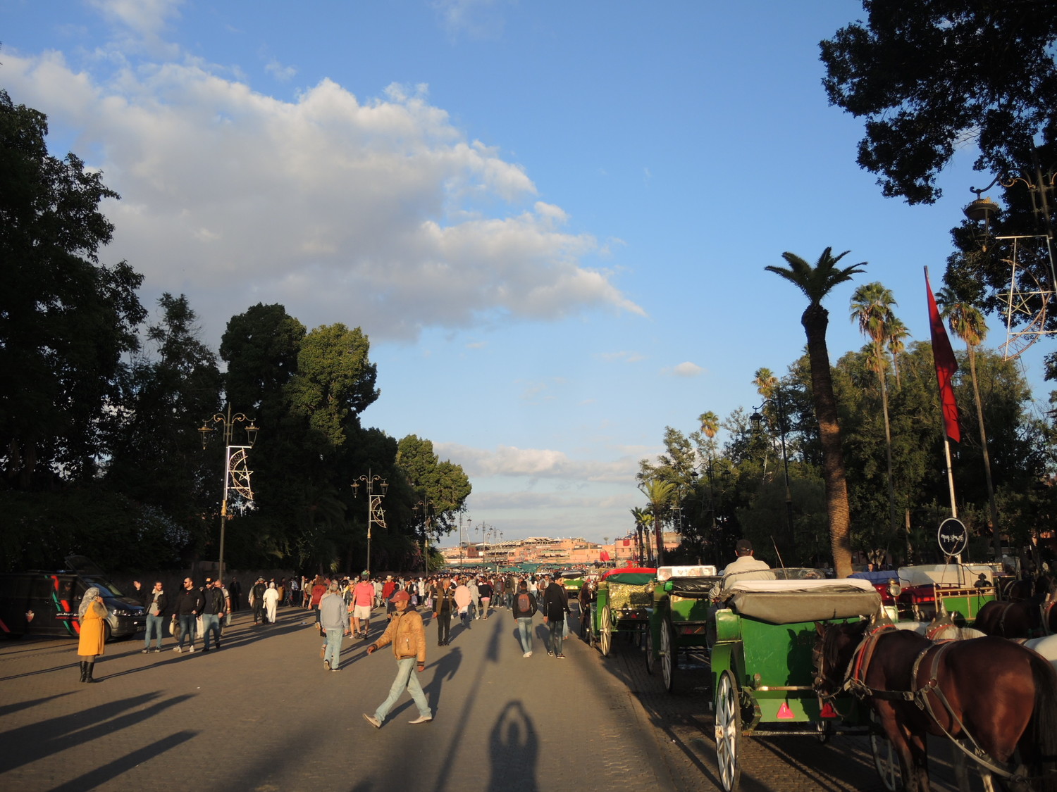 carriage taxi near the Jamaa el Fna square market