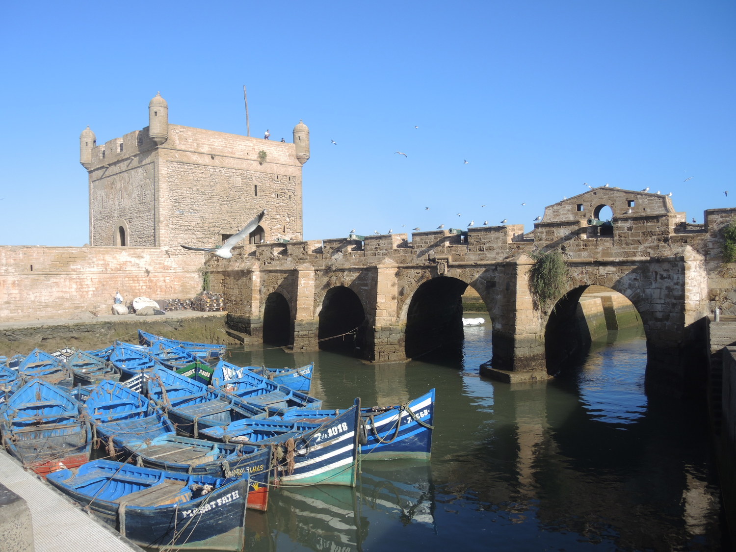 fishermen port in Essaouira
