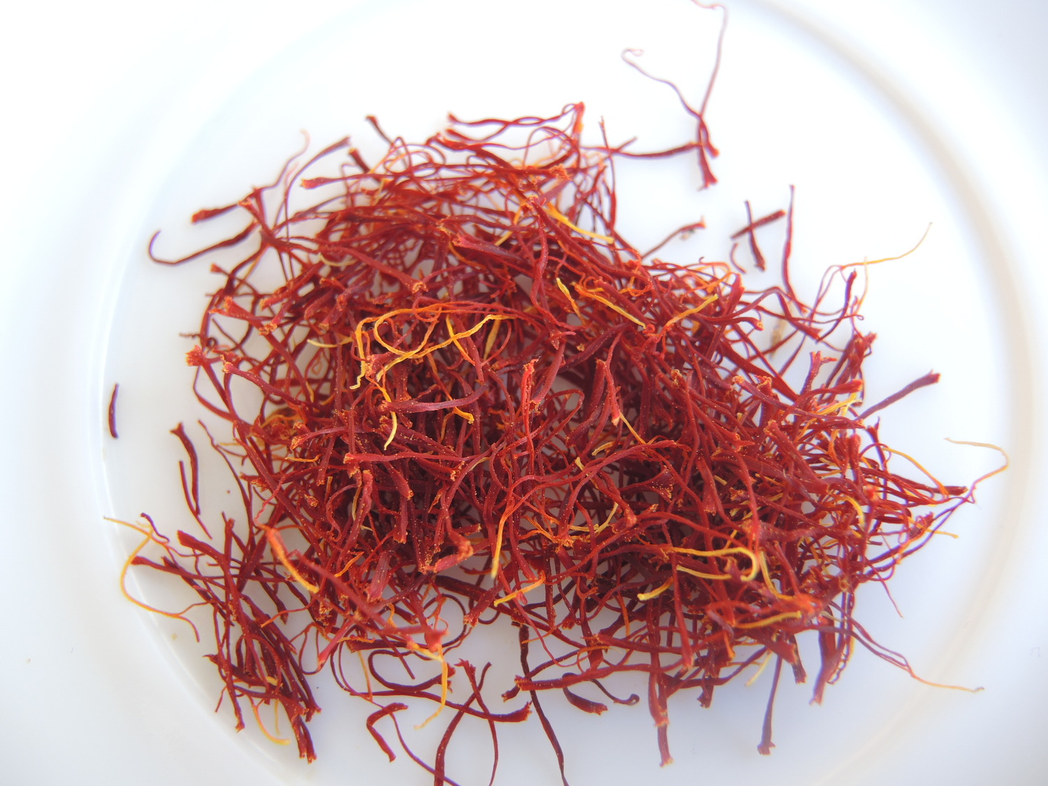 saffron in Agadir