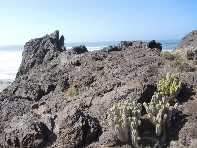 Tibojaaratin beach near the Atlantic Ocean