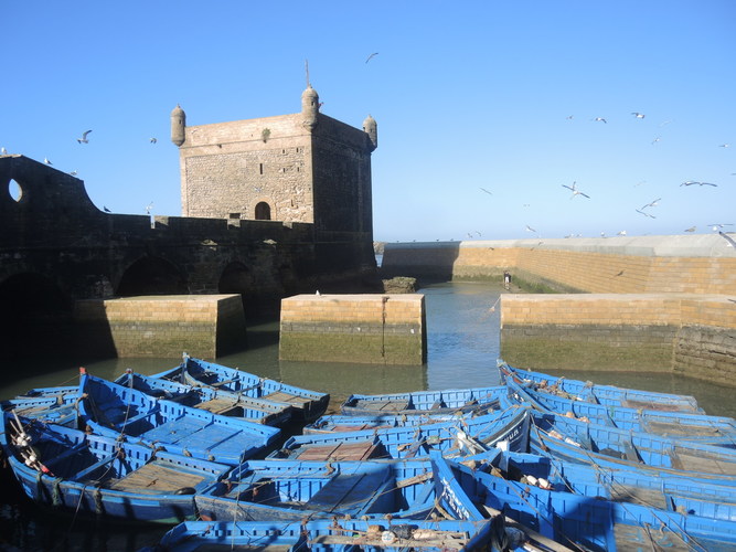 Essaouira fishing port