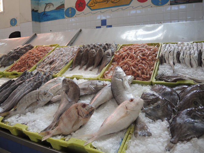 Fish in the El Massira market