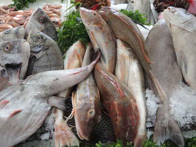 Fish market in Essaouira