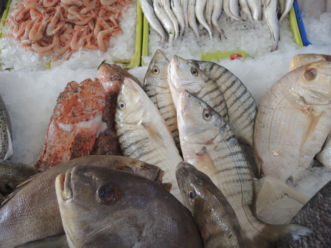 Fresh fish in El Massira market
