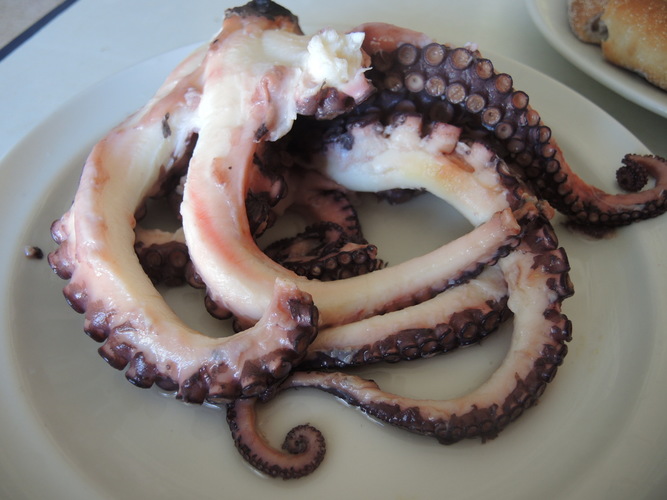 Fresh octopus for dinner