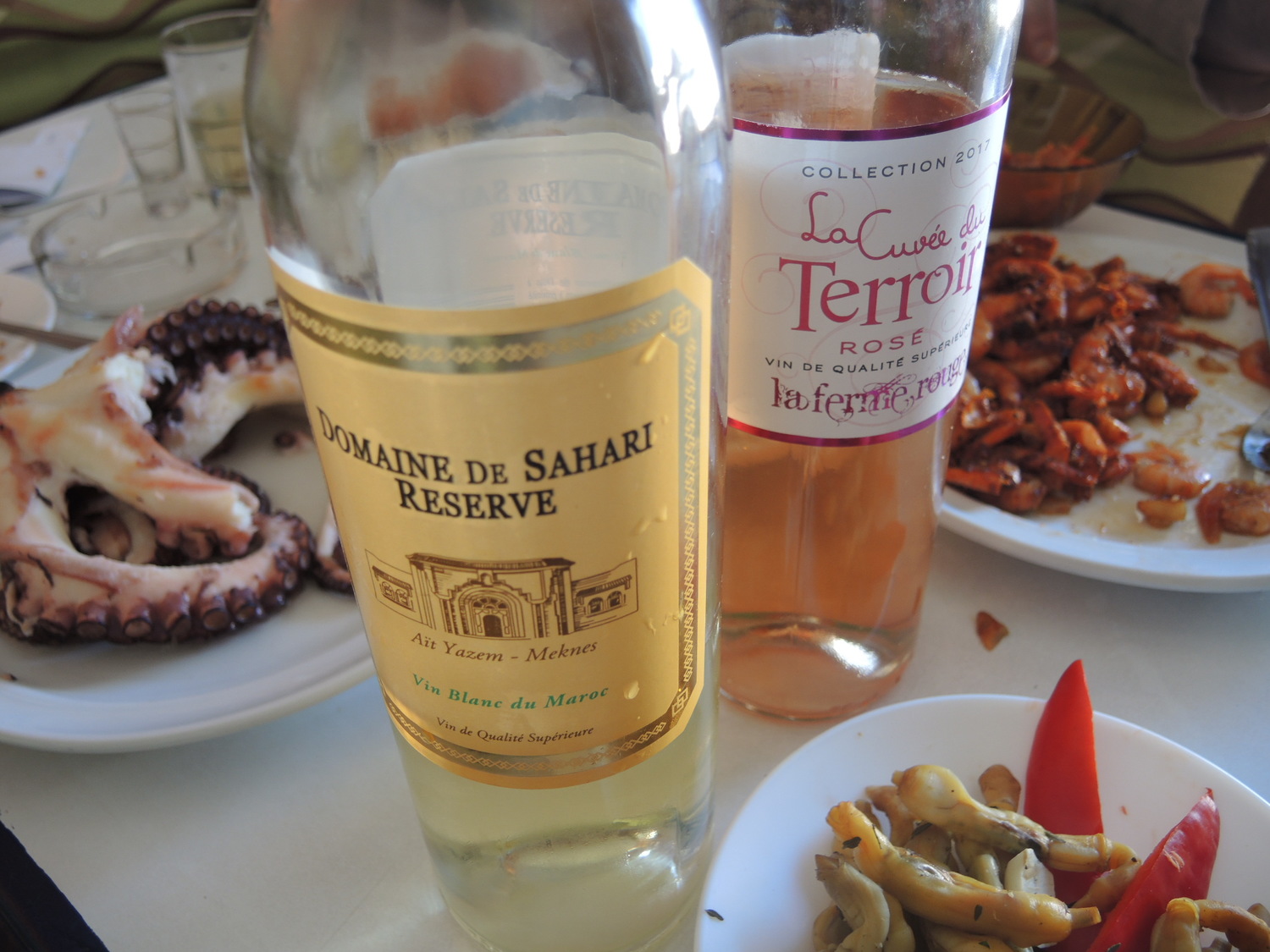 Local wines of Morocco