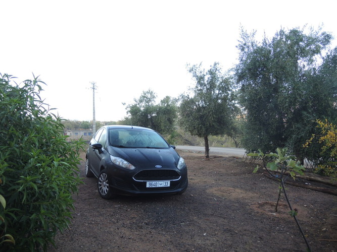 Our beloved Ford Fiesta