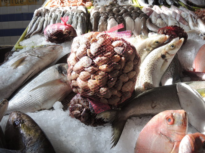 El Massira fish market in Morocco