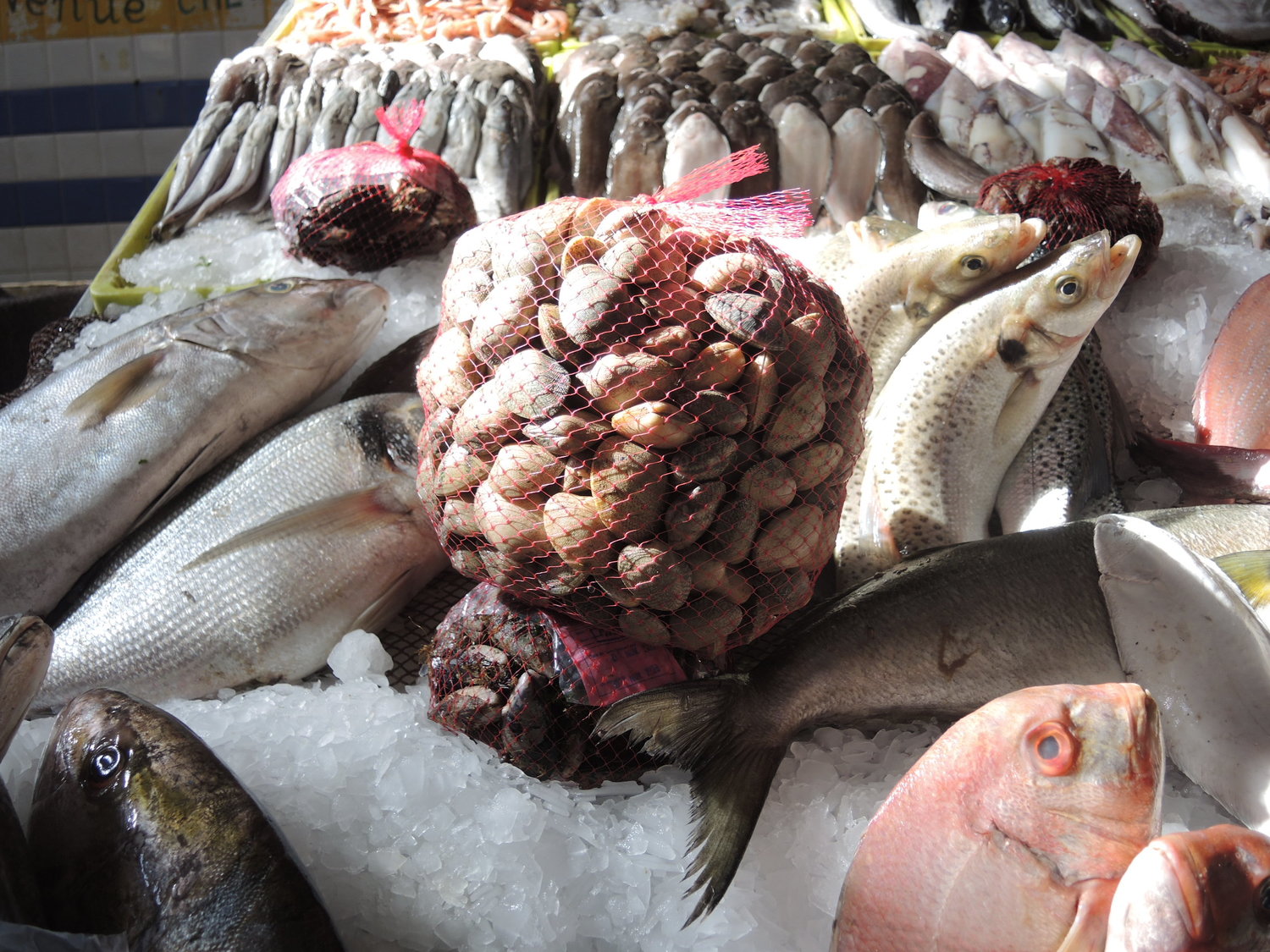 El Massira fish market in Morocco