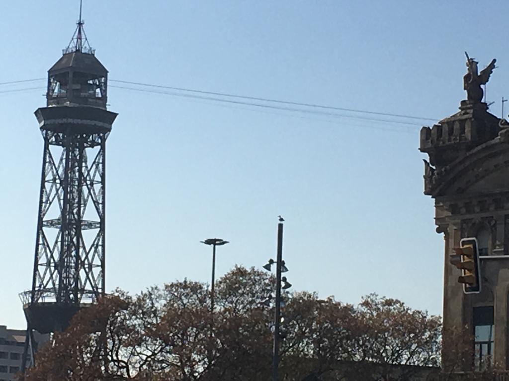IMG-20190328-WA0008
