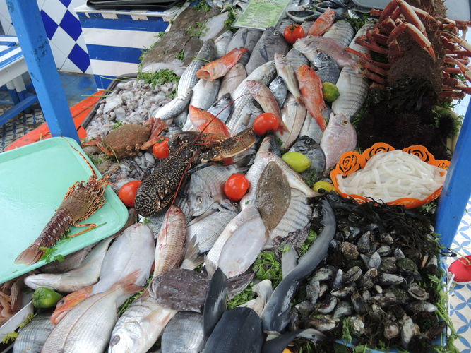 Fish in market in Essaouira