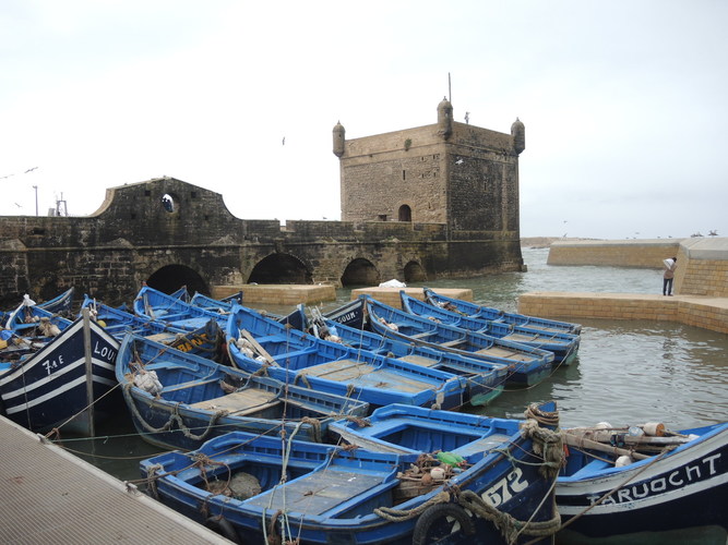 Fishing port in Essaouira
