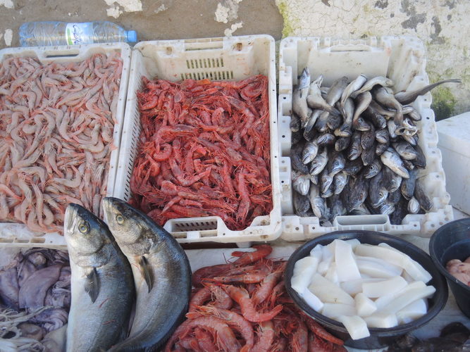 Seafood in a market in Essaouira