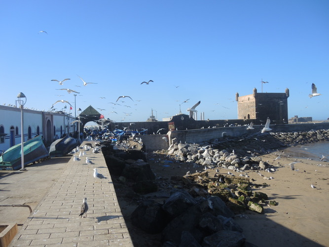 The port of Essaouira