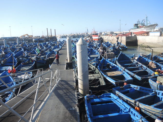 Blue boats of Essaouira