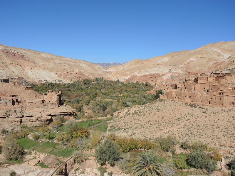 Oasis near Asif Ounila river in the Atlas Mountains