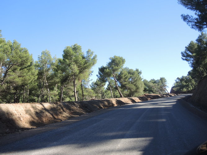 Roads surrounded by smal groves in the Atlas Mountains