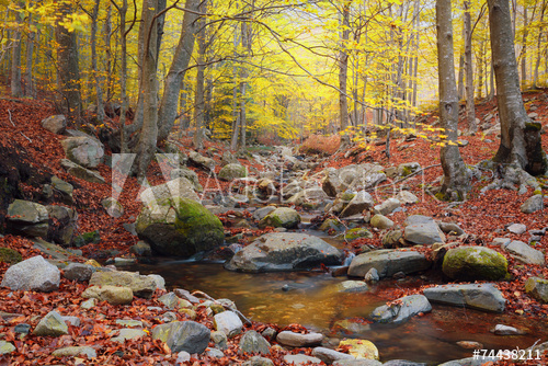 montseny_Catalunya