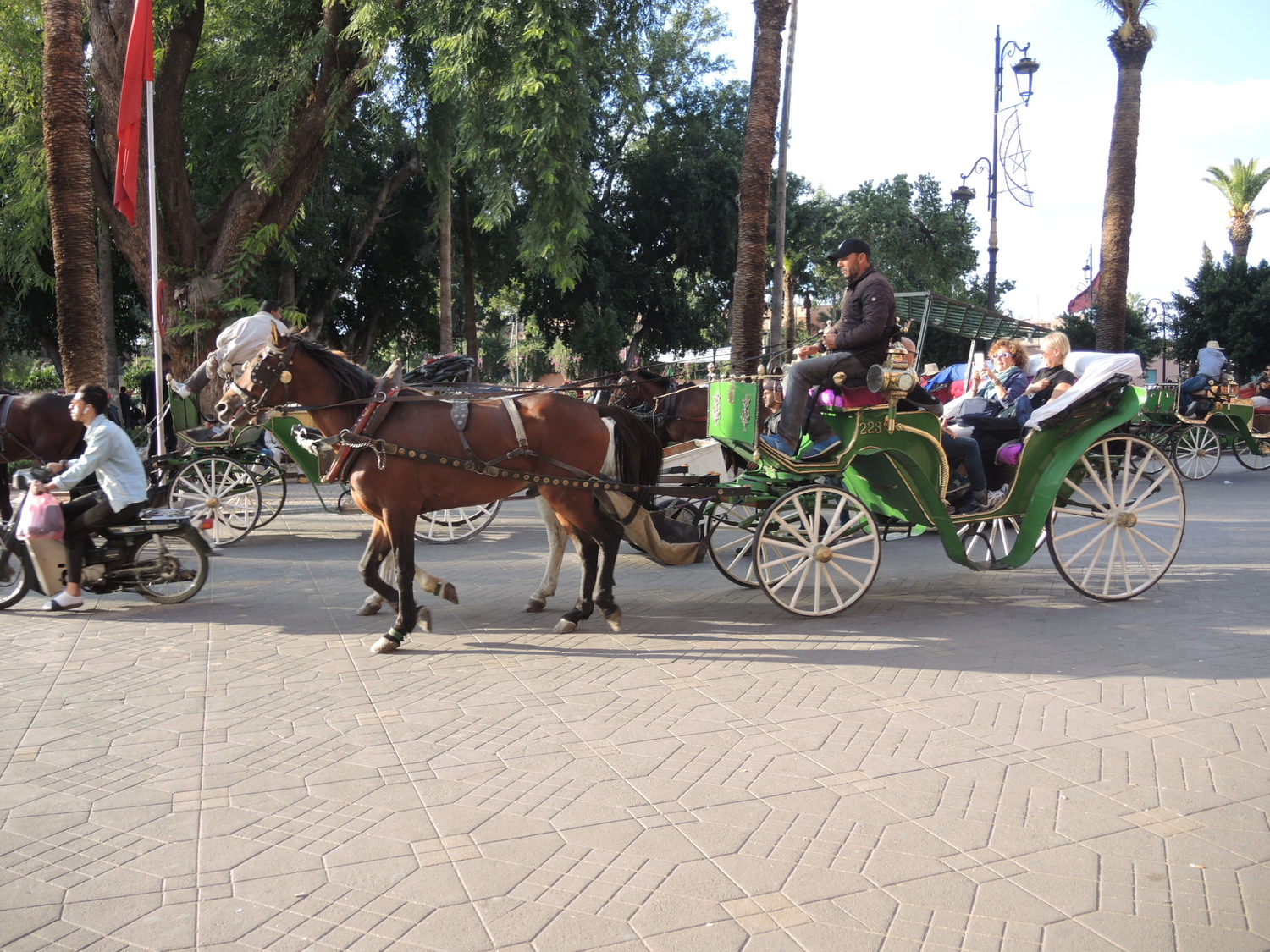 Carriage ride in Marrakech