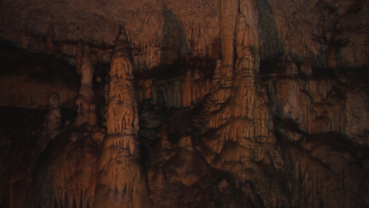 Organs In Demanova cave