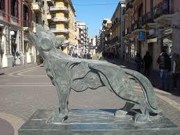 wolf_of_sila in Cosenza