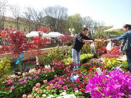 The flower fair festival in Milan