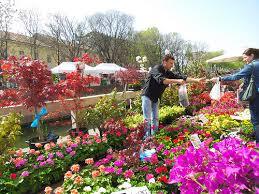The flower fair