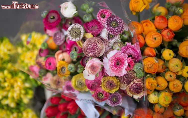 Spring_at_the_Radiana