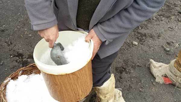 Festival snow in Sicily