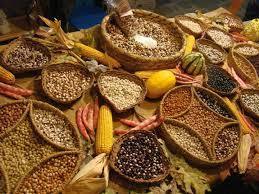 The bean festival in Basilicata