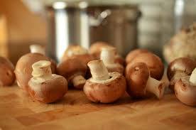 funghi