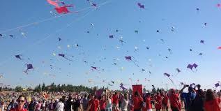 kite
