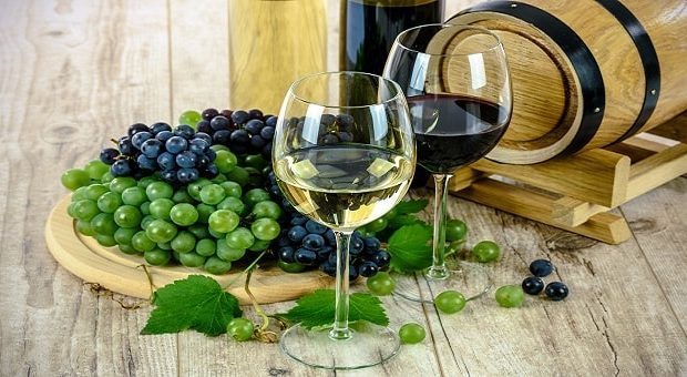 The grape festival in Marche