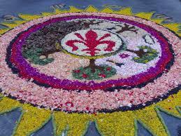 Scarperia_floral_display