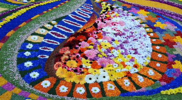 The_flower_festival_in_Spello