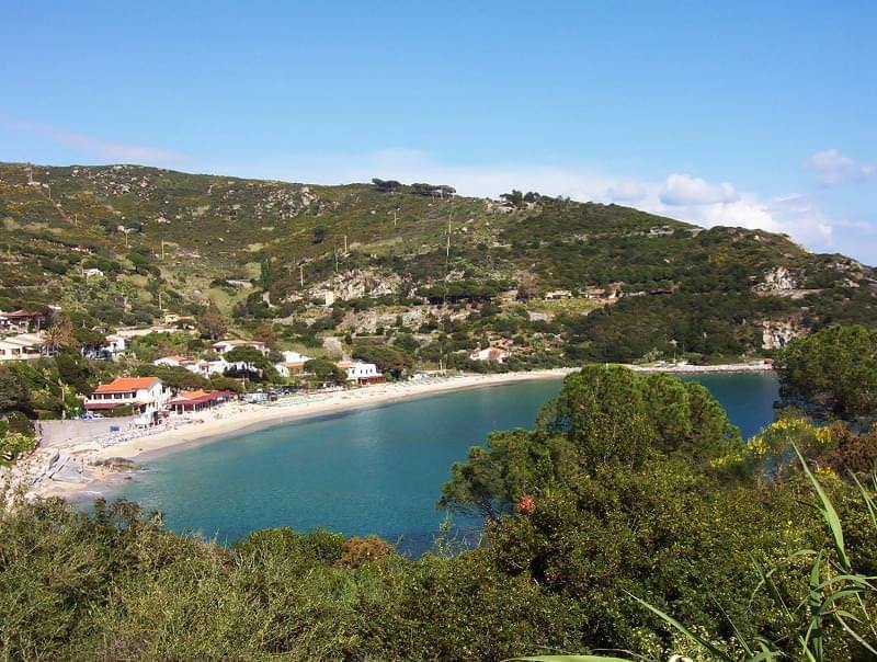 Erba_island