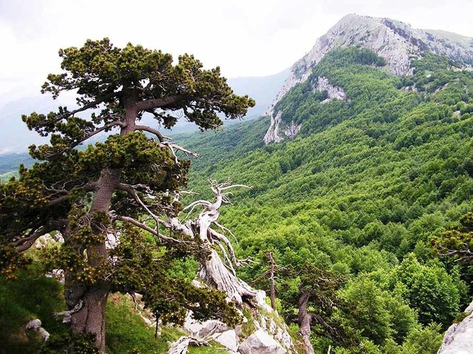 The National park of Pollino in Basilicata