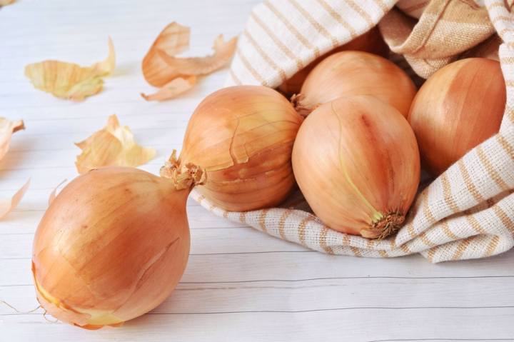 The_onion_of_Isernia