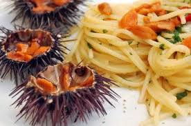 Spaghetti_with_sea_urchins