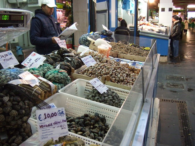 Sea food in Rome Market