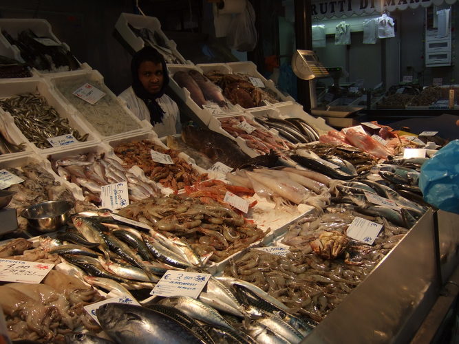 Sea food in Rome Market