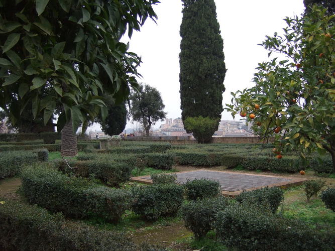 Excursion on Palatino Hill Rome