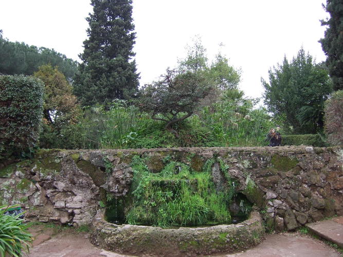 Nature in Rome. The gardens up the Palatine Hill