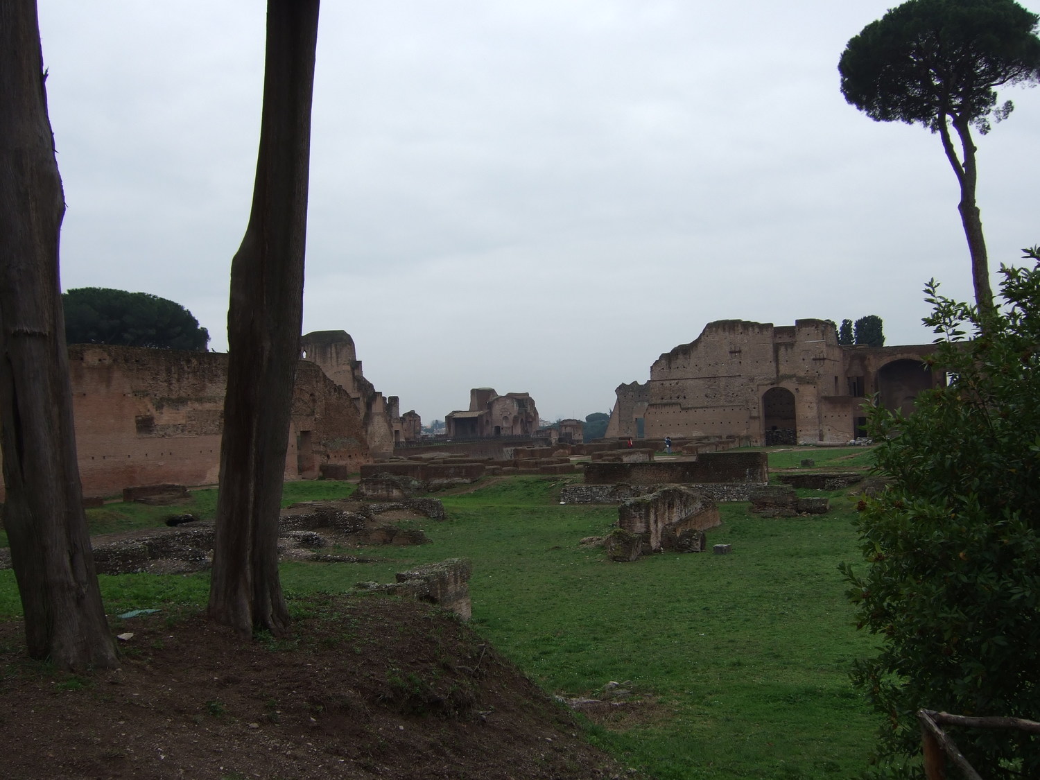 Trip to Rome. The ruins of the palaces on Palatine Hill