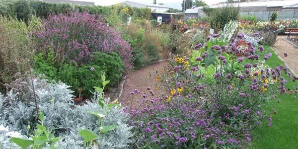 Clermont-Ferrand Bothanical garden