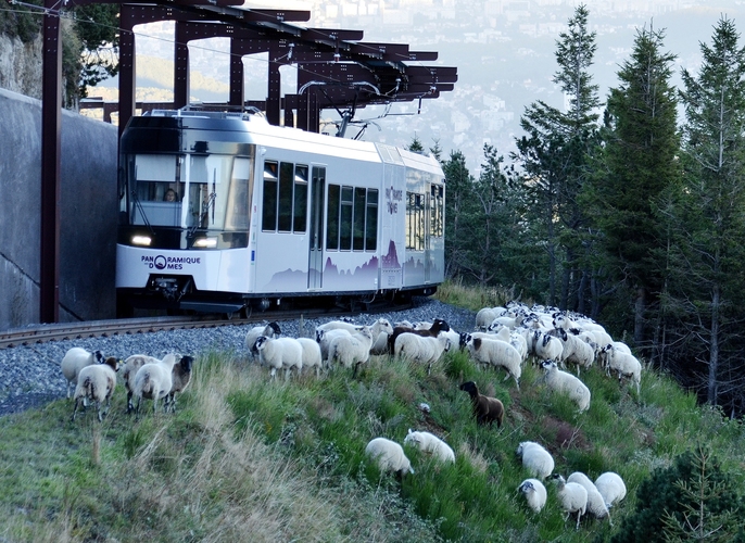 Panoramique des domes train by René Manzone(Panoramique des Domes)
