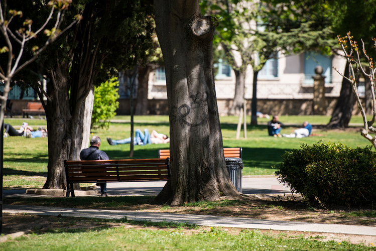 Parc Jourdan photo